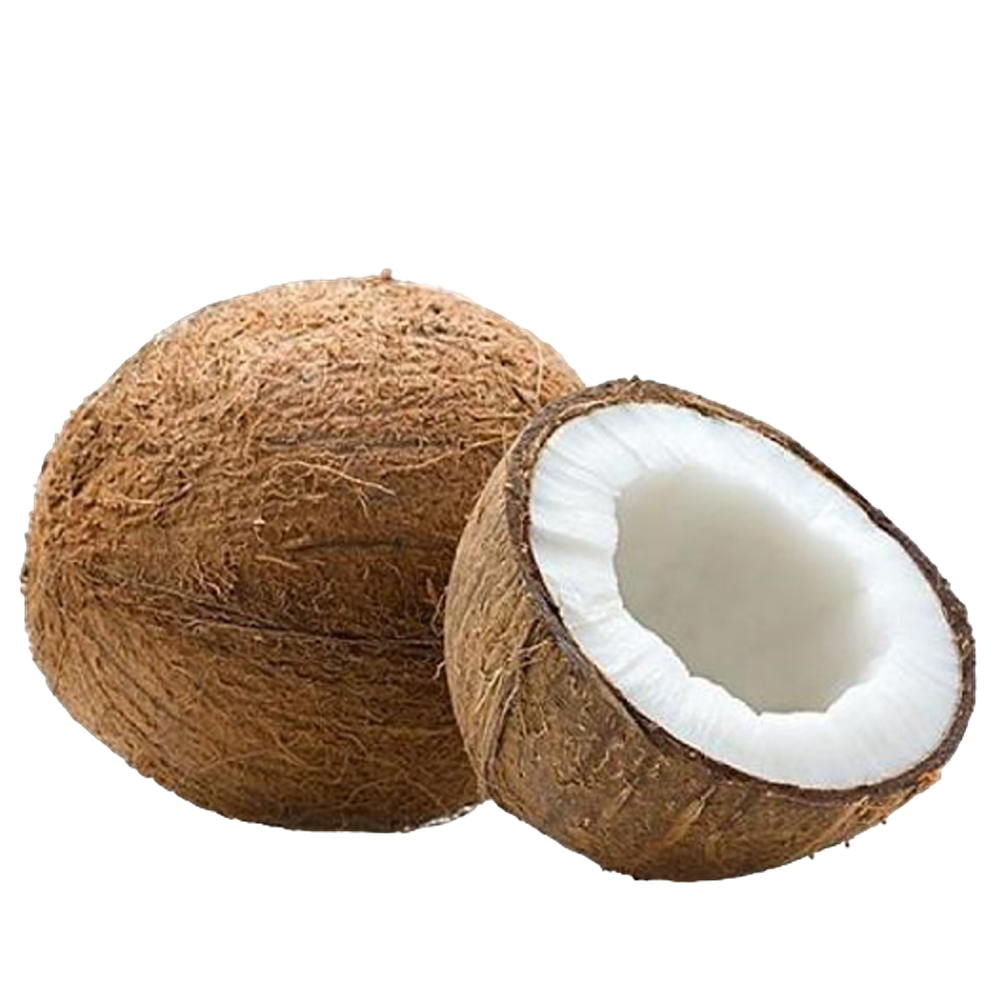 Mature Coconut (Case 40)