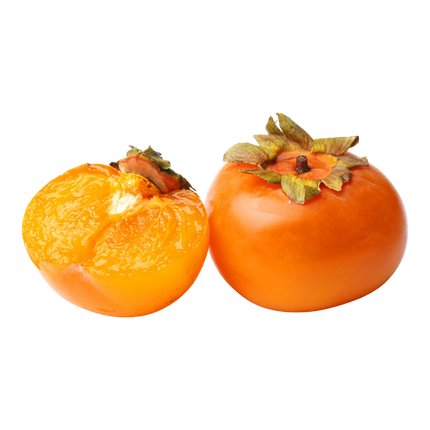 Persimmon (Case 24)