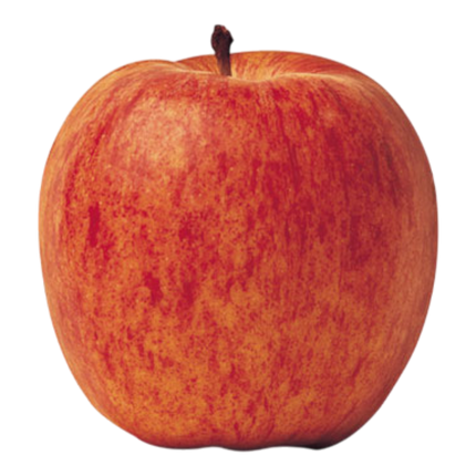 Gala Apple (Case 12)