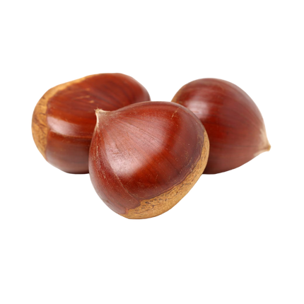 Chestnut [France] (Case-5Kg)