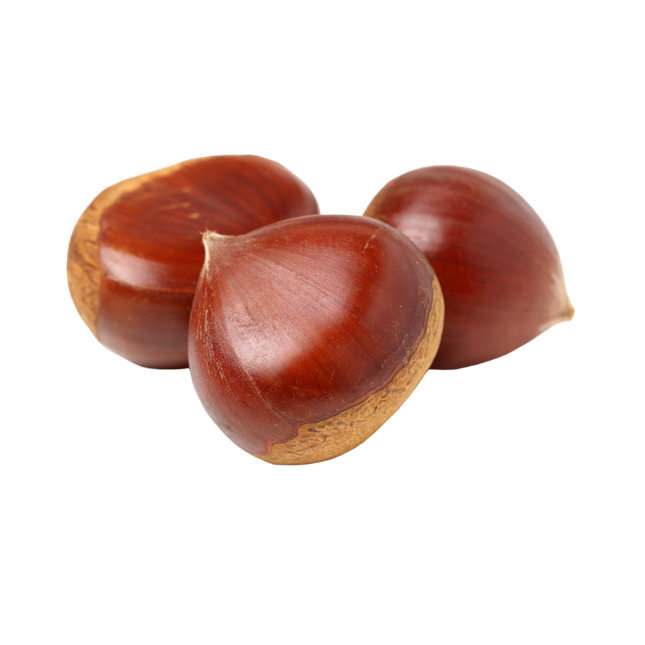 Chestnut [France] (Case-5Kg)