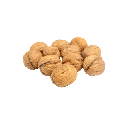 Walnut [With Shell] (Case-5Kg)