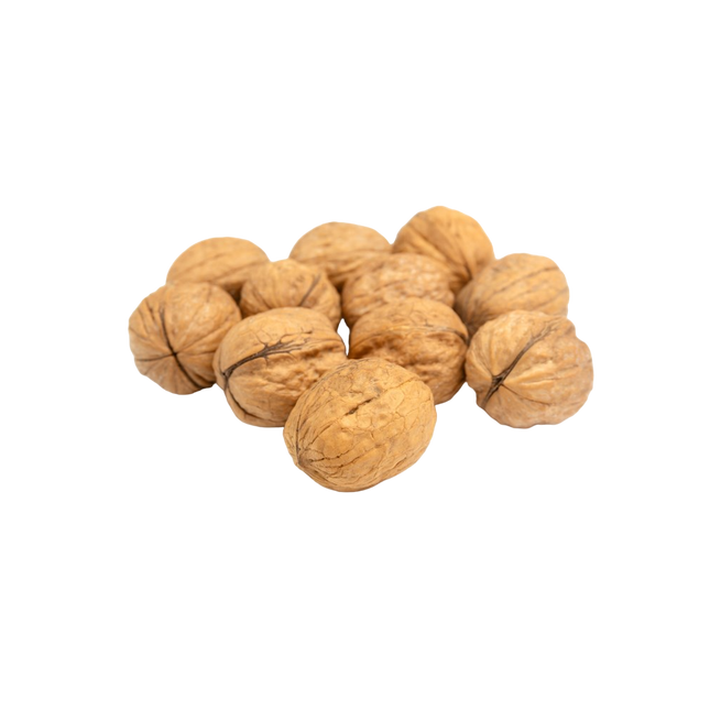Walnut [With Shell] (Case-5Kg)