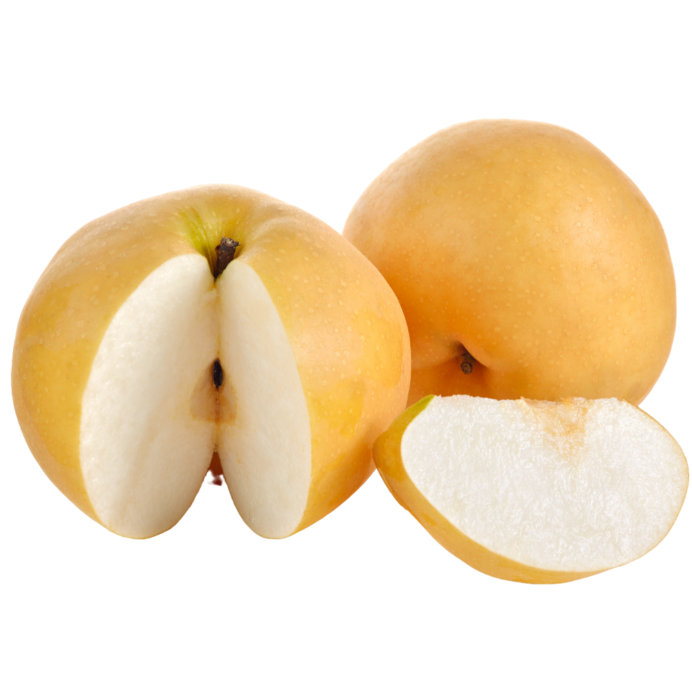 Singo Pear (Case 7)