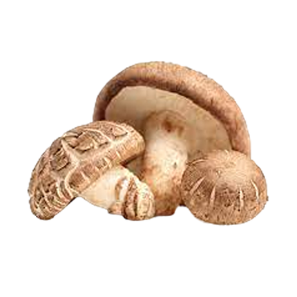 Fresh Shitake Mushroom 200g (Case 25)