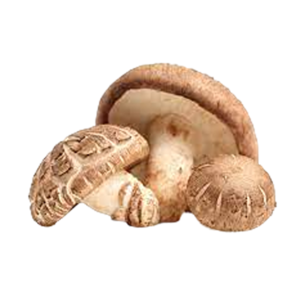 Fresh Shitake Mushroom 200g (Case 25)