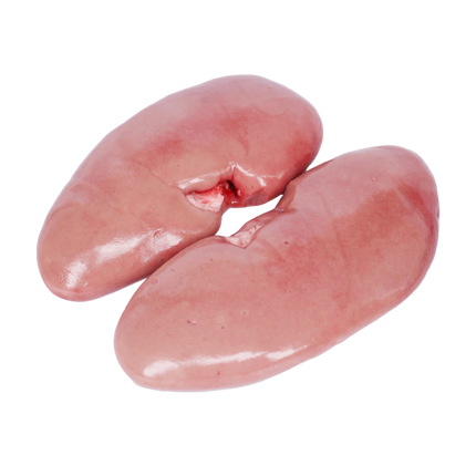Pig Kidney (Unit)