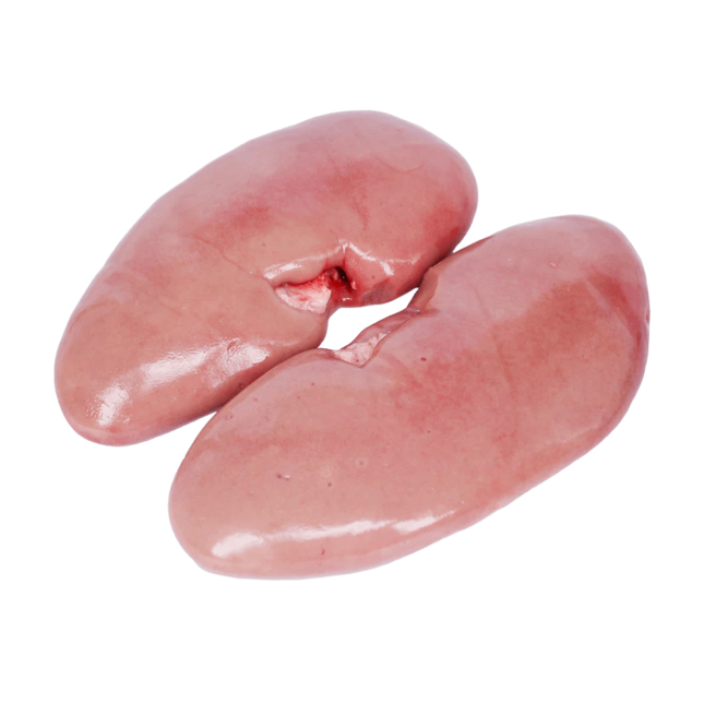 Pig Kidney (Unit)
