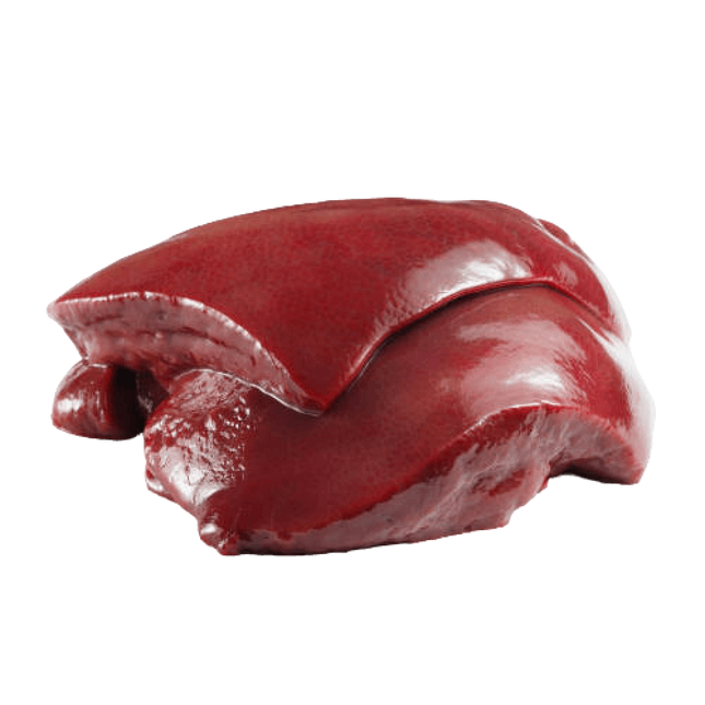 Pig Liver (Unit)