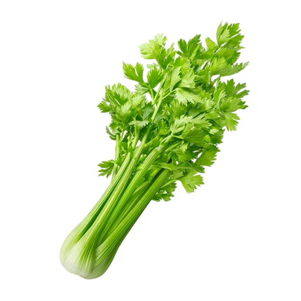 Chinese Celery (Case-6Kg)