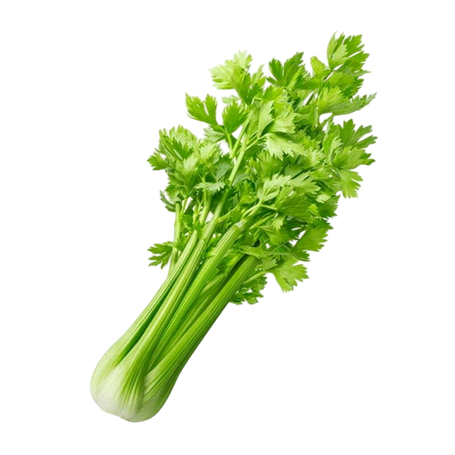 Chinese Celery (Case-6Kg)