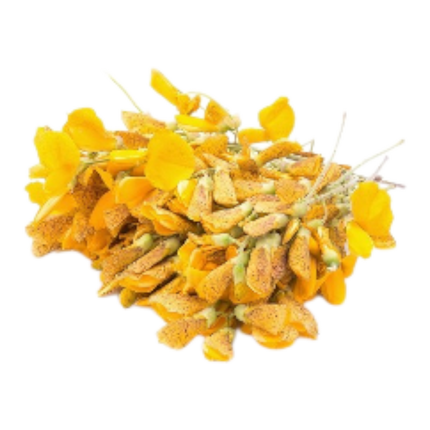 Yellow Sesbania Flower (Dok Sano) 100G (Kg10)