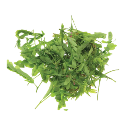 Tamarind Leaf (Lá Me) 100G (Kg10)