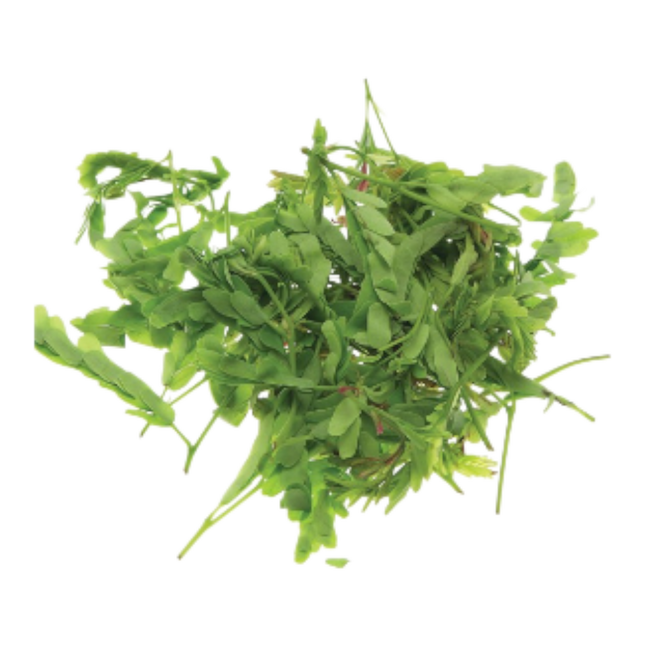 Tamarind Leaf (Lá Me) 100G (Kg10)