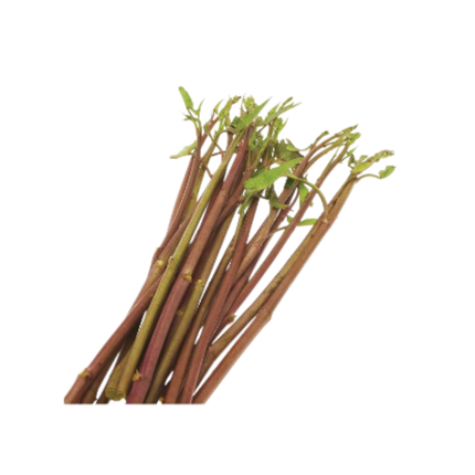 Red Morning Glory (Rau Muong Do) 200G (Kg5)