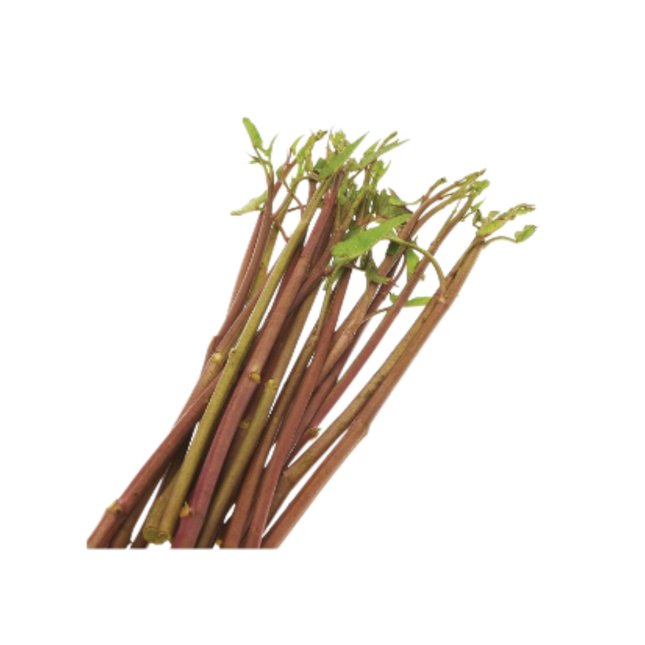 Red Morning Glory (Rau Muong Do) 200G (Kg5)