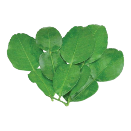 Fresh Kaffir Lime Leaf (La Chanh Thai) 100G (Kg10)