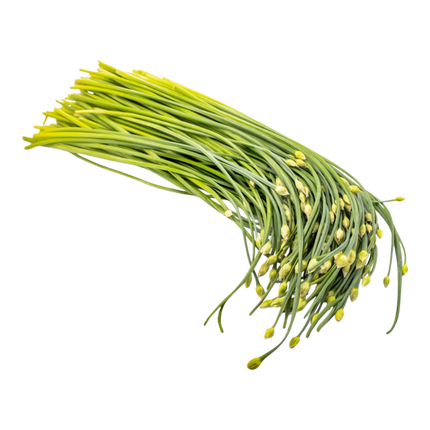Chive Flower (Bong He) 100G (Kg10)