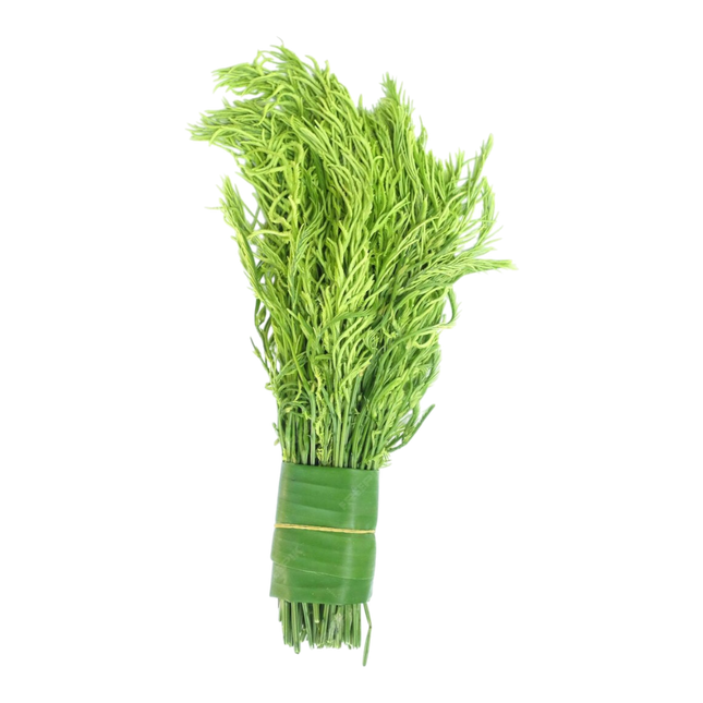 Acacia (Cha Om) 100G (Kg10)