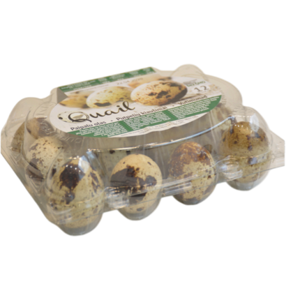 Quail Eggs Pack 12 (Case 12)