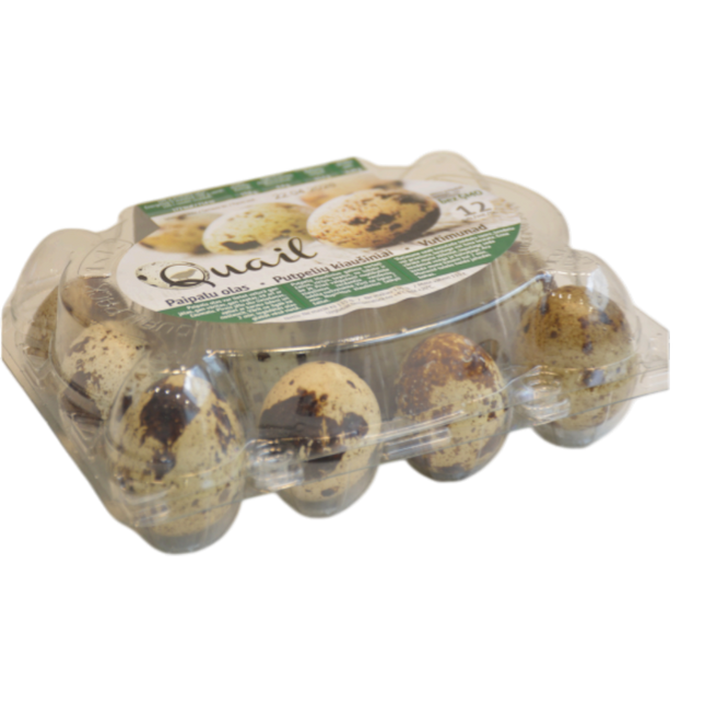 Quail Eggs Pack 12 (Case 12)