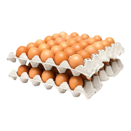 Fresh Eggs ( Medium ) (Case 6)