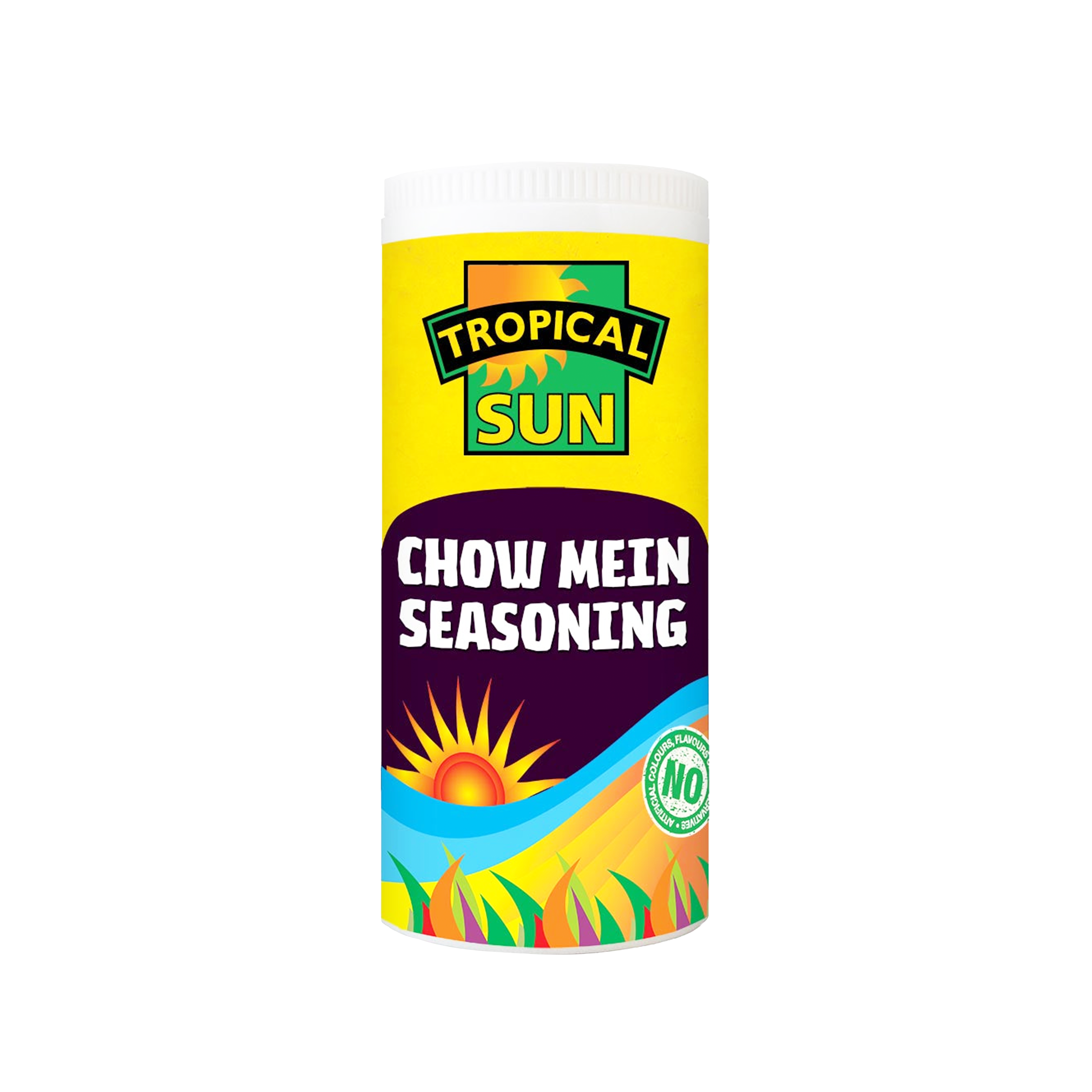 TROPICAL SUN CHOW MEIN SEASONING 100g - Longdan Official