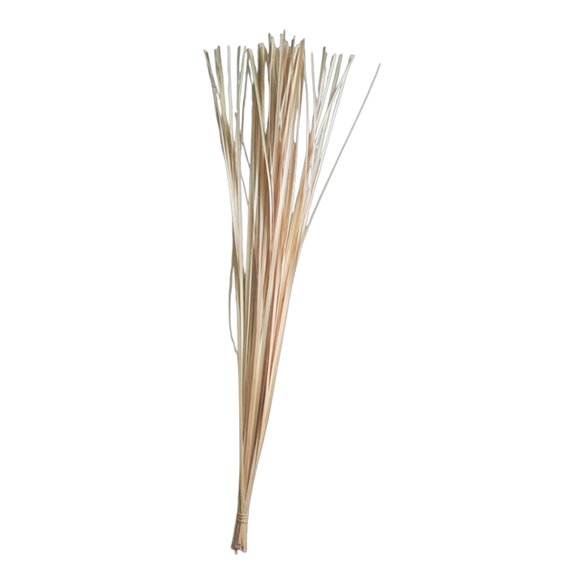Longdan Bamboo string ( Day lat goi banh ) (Case 200)
