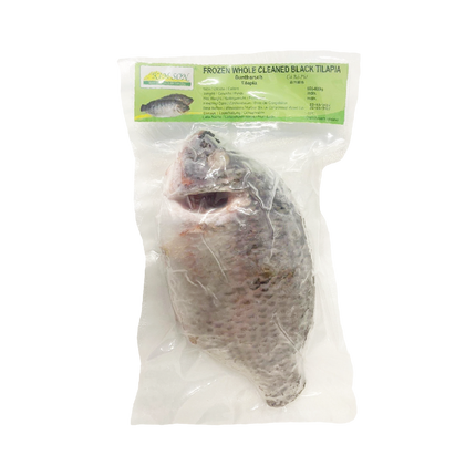 Kim Son Black Tilapia 600-800g (Case 10)