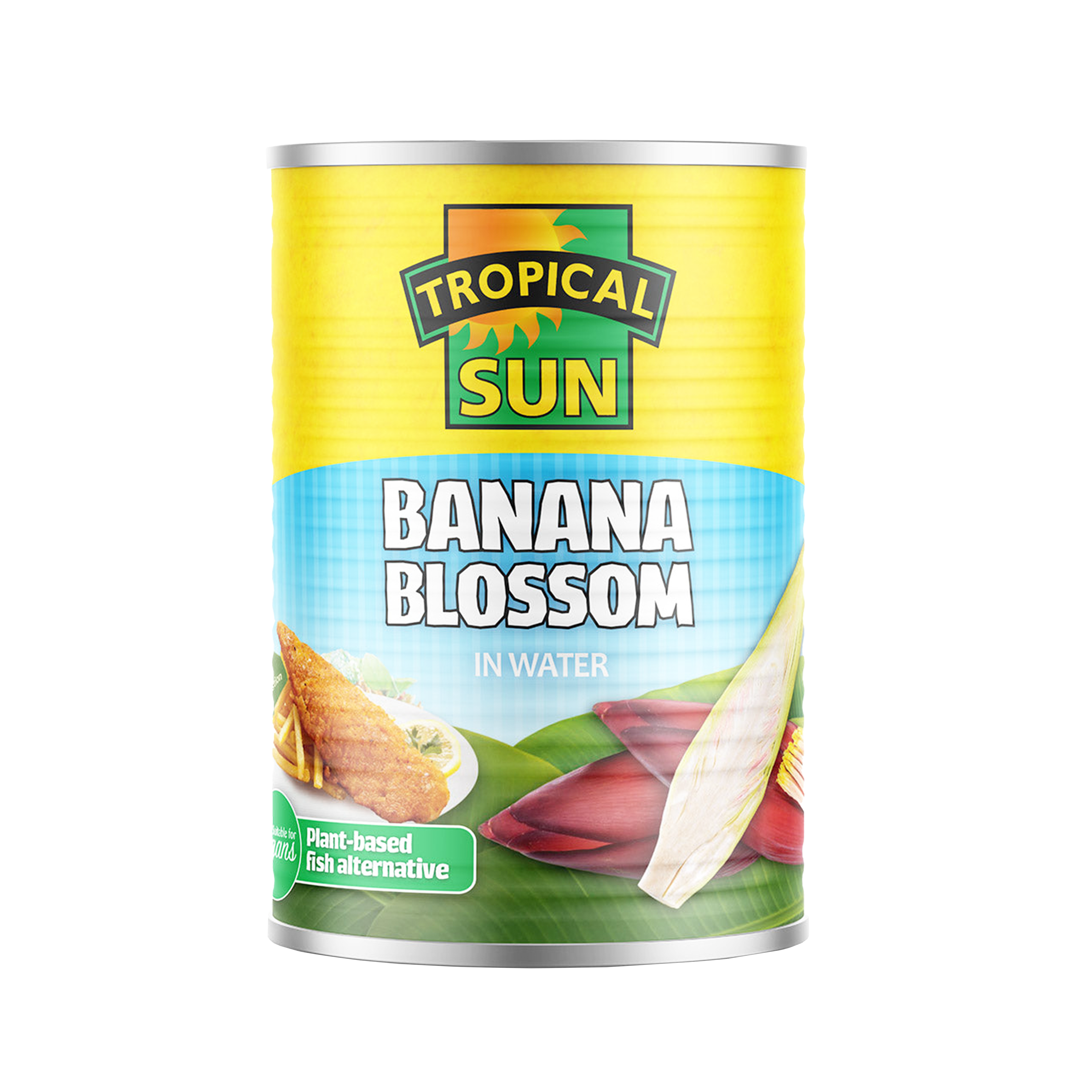 TROPICAL SUN Banana Blossom In Water 400G - Longdan Official