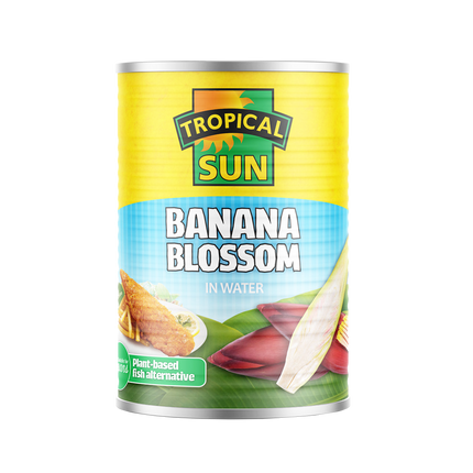 TROPICAL SUN Banana Blossom In Water 400G - Longdan Official