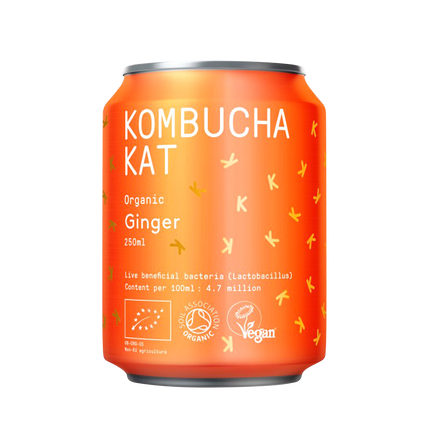 KOMBUCHA KAT Ginger 250ml - Longdan Official