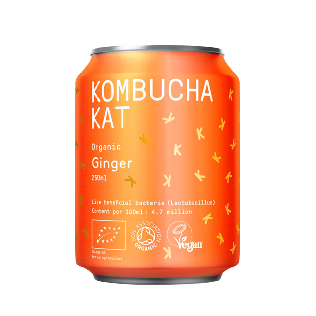 KOMBUCHA KAT Ginger 250ml - Longdan Official