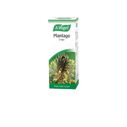 A. VOGEL Plantago lanceolata Oral Drops 50ML - Longdan Official