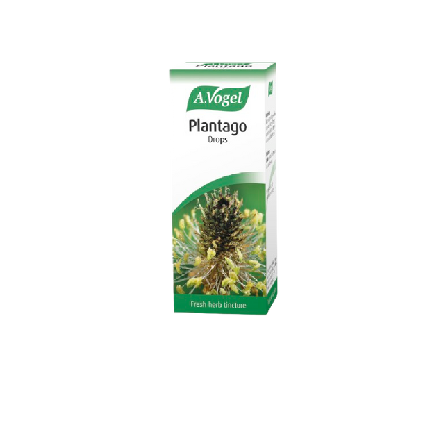 A. VOGEL Plantago lanceolata Oral Drops 50ML - Longdan Official