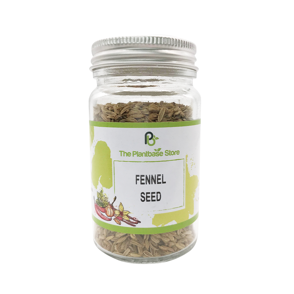 The Plantbase Store Fennel Seed 45g - Longdan Official Online Store