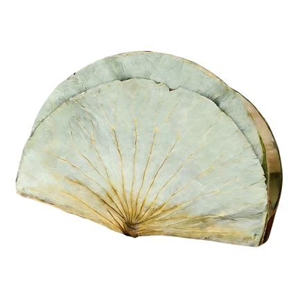 VEGAN VILLAGE Dried Lotus Leaves 400g (Case 25)