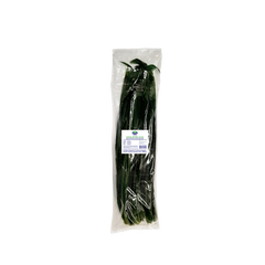 Collection image for: City Fresh