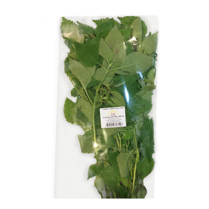 Cockscomb Mint (Kinh Gioi) 100g Kg10