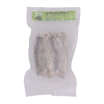 Kim Son Climbing Perch 500g (Case 20)