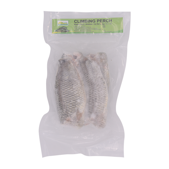 Kim Son Climbing Perch 500g (Case 20)