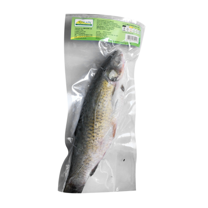 KIM SON Whole Cleaned Grass Carp (Dace Fish) (Case 10)