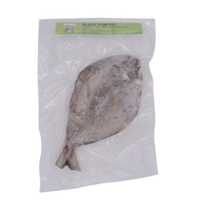 Kim Son Black Pomfret 500/800 (Case 10)