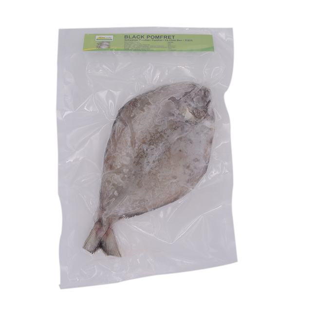 Kim Son Black Pomfret 500/800 (Case 10)