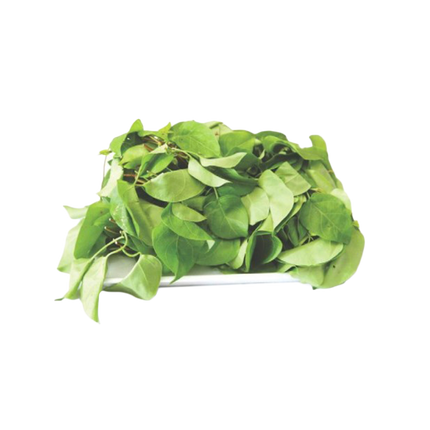 Giang Leaf 200gr (Kg5)