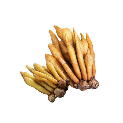 Fingerroot 100g Kg10
