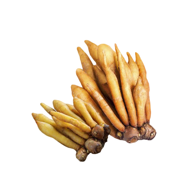 Fingerroot 100g Kg10