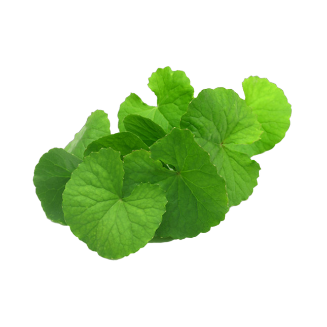 Water Pennywort (Rau Ma) 100g Kg10